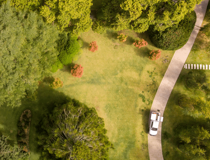 Tree removal services in Lancefield