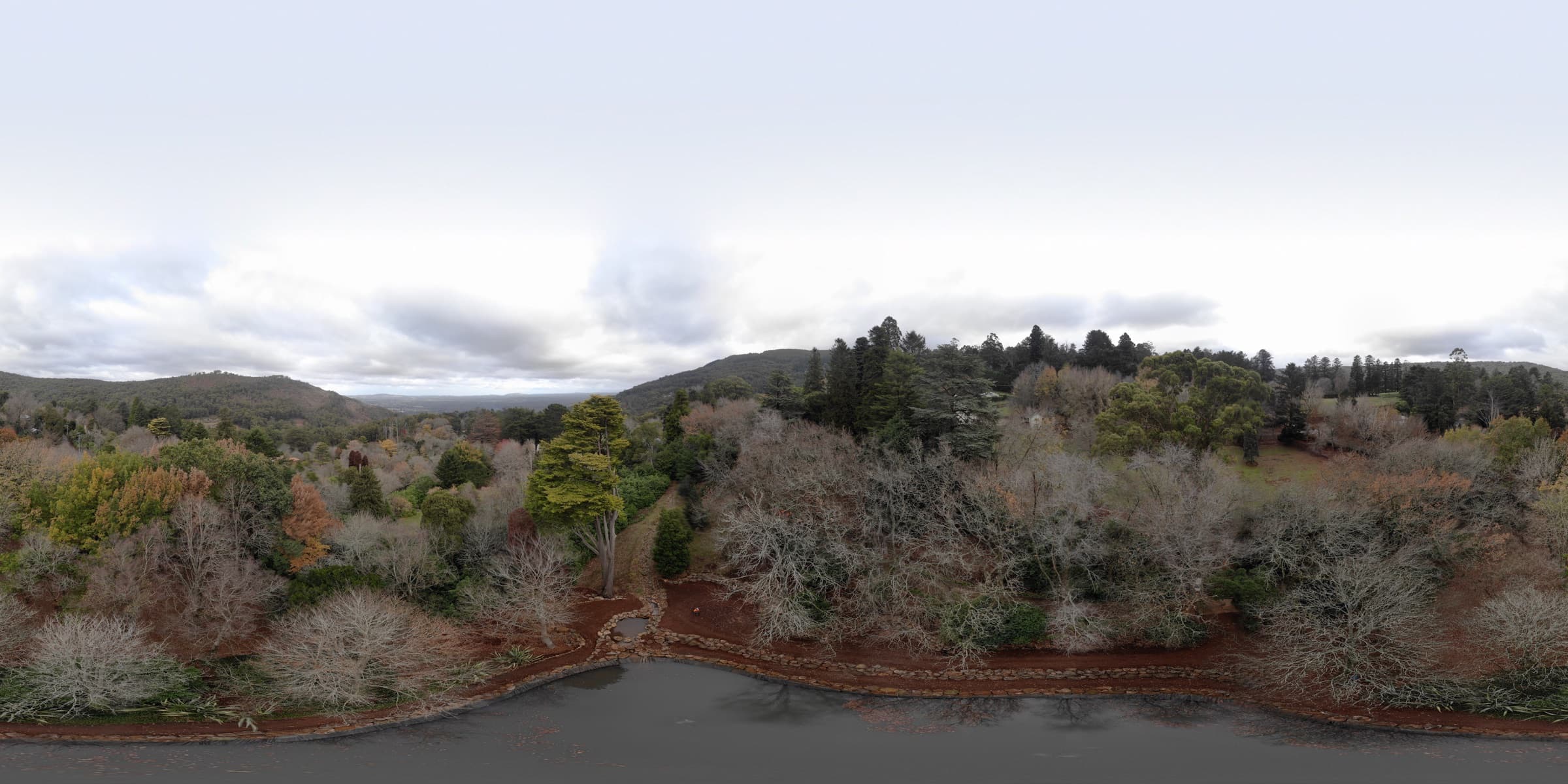 Large trees across a Macedon Ranges property
