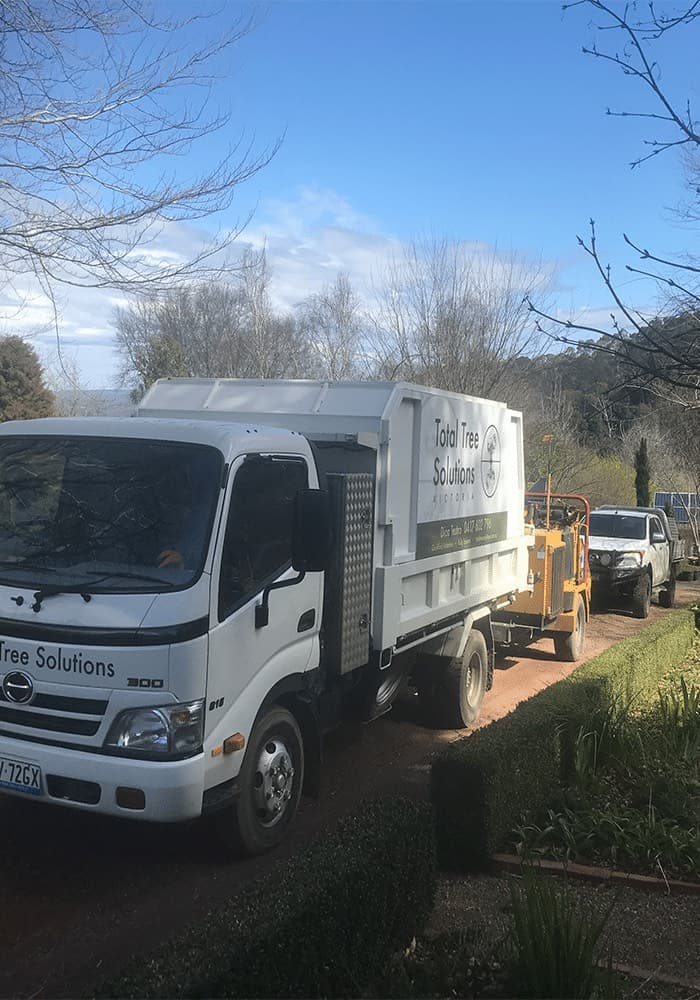 Total Tree Solutions truck at a Woodend property